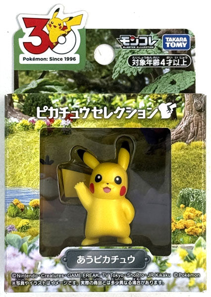 Pokemon 30th Anniversary MonColle Pikachu Selection Meeting Pikachu