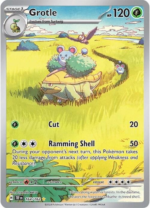 Grotle - 164/162 - Illustration Rare - Temporal Forces