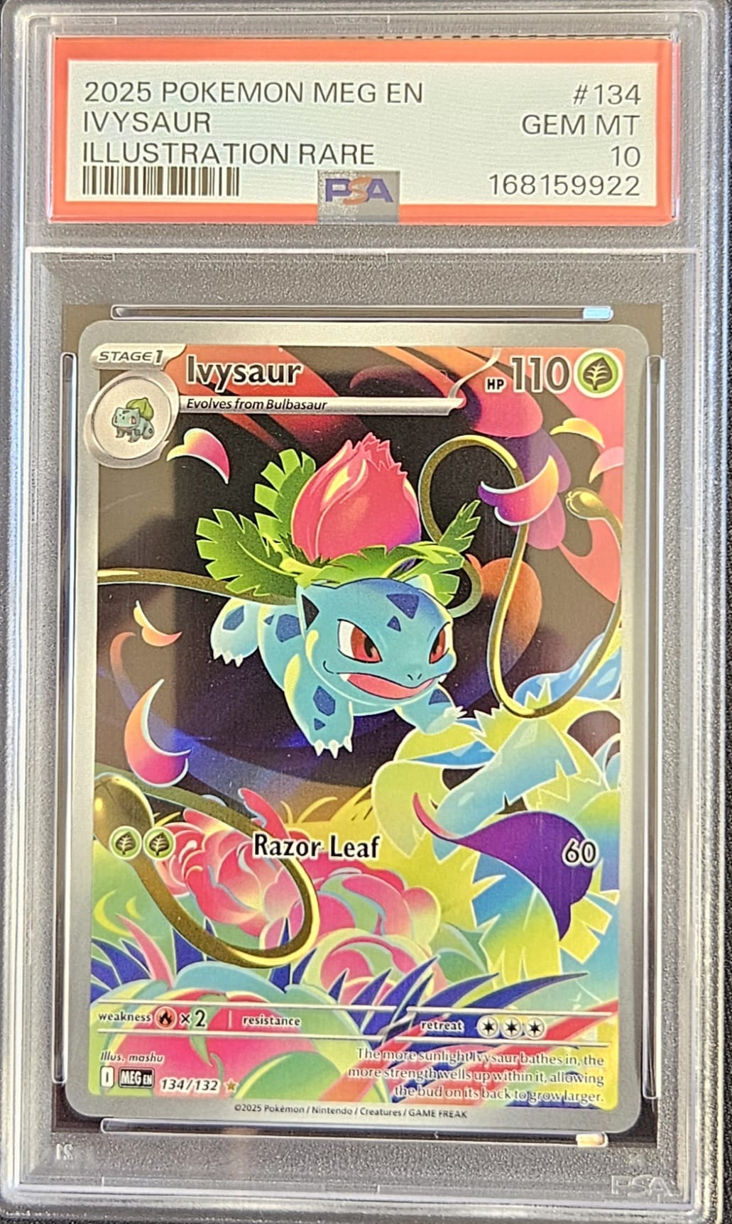 Ivysaur - PSA 10 - 134/132 - Illustration Rare - Mega Evolutions (With Cardboard Guardian Green & Purple Snow Forge Case)